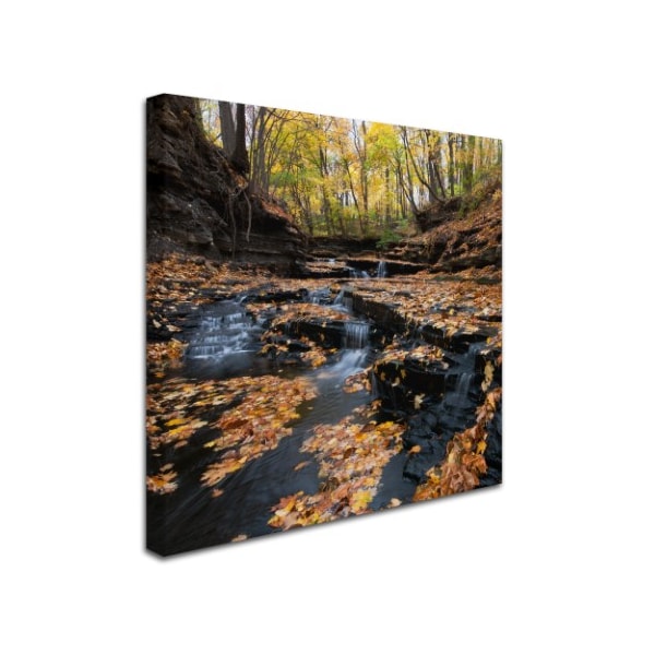 Kurt Shaffer 'Late Autumn Falls' Canvas Art,14x14